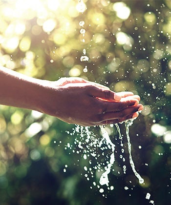 Environmentally sustainable