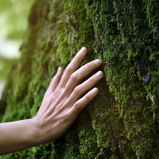 Sustainability