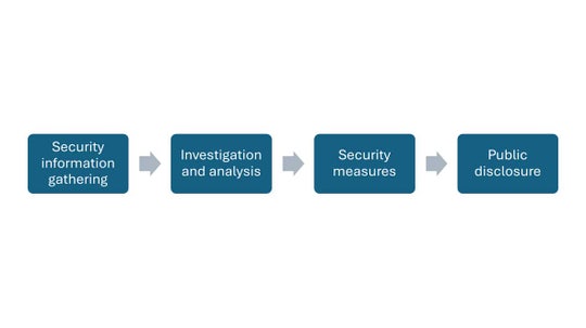 Handling of vulnerabilities