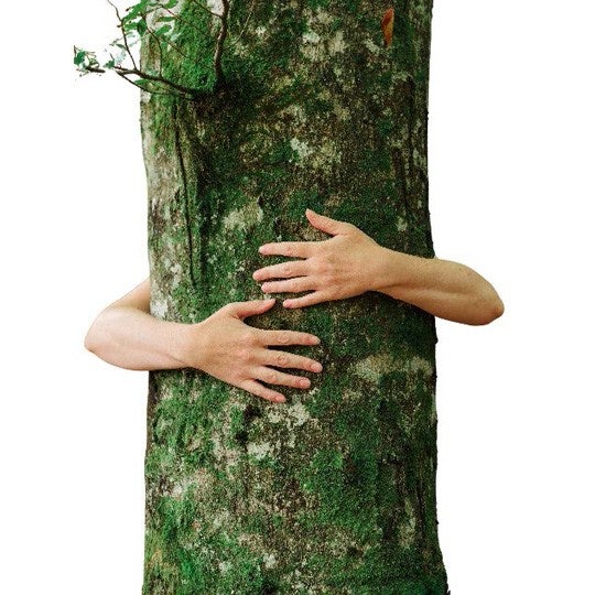 Stay sustainable