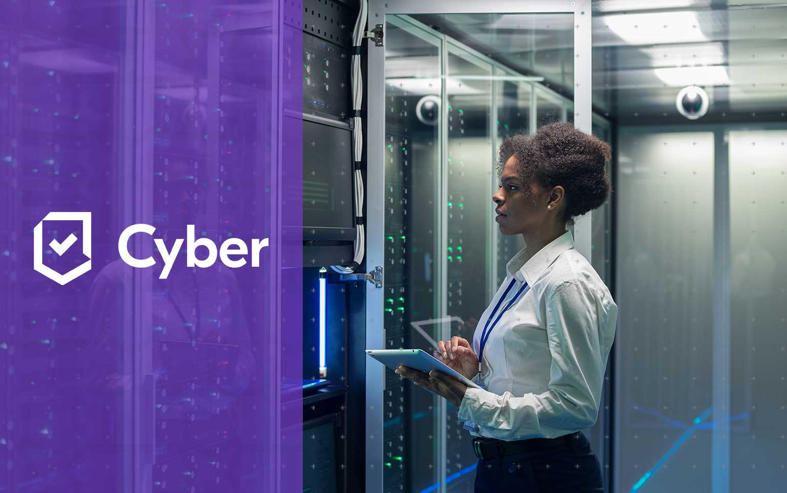 Cyber Assessments