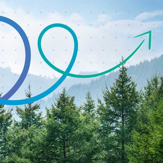 Reduce your environmental footprint