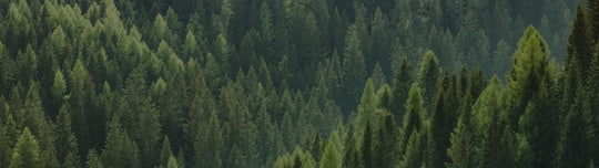 Our environmental policy