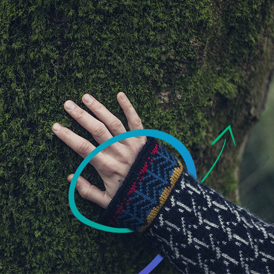hand in a tree