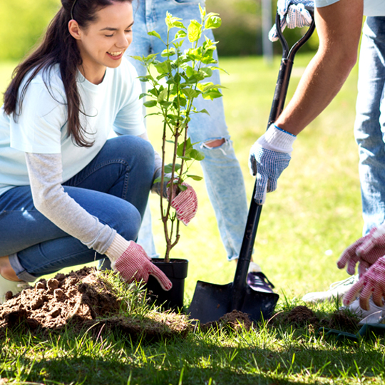 Discover more on how we are reforesting with PrintReleaf.