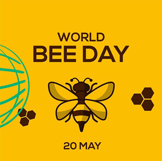 World Bee Day