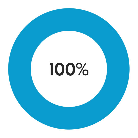 Dedicated Success Manager