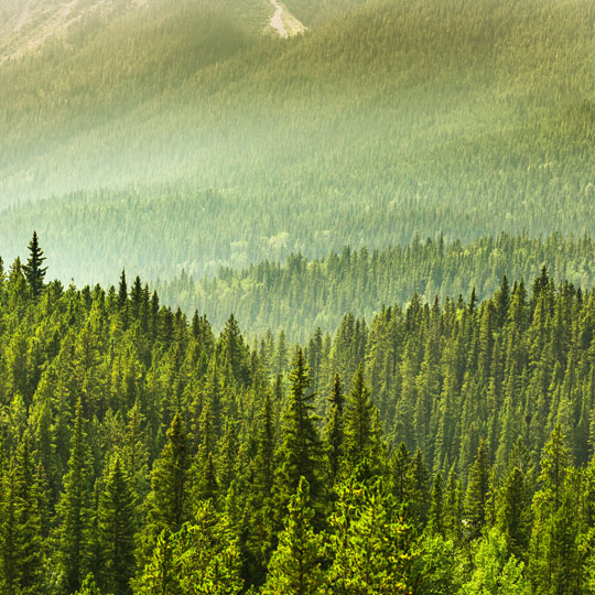 About our brand environmental policy