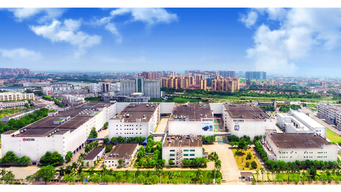China plant China plant