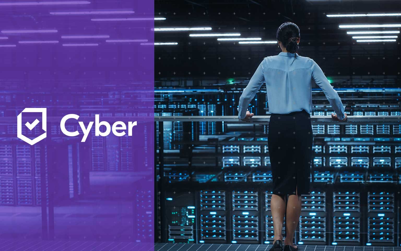 The Cyber Files