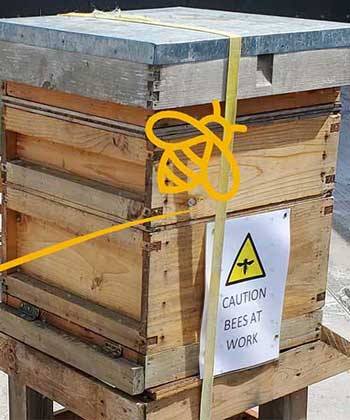 Check out our progress so far