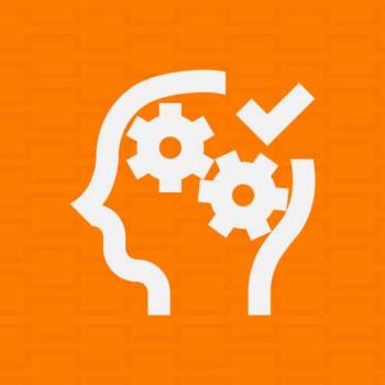 Consultancy packages 