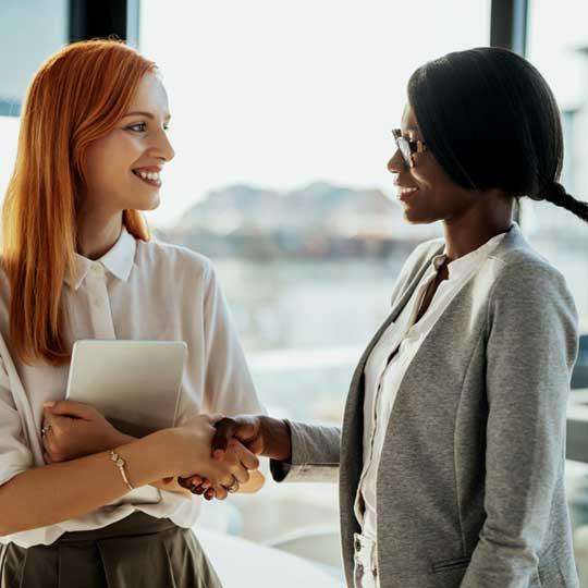 Ensure security of critical employee documents and data. Ensure security of critical employee documents and data.